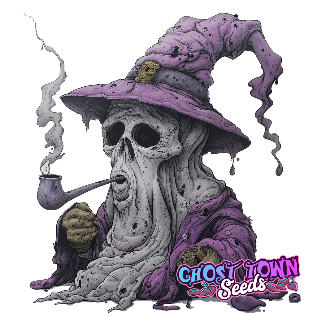 Puiset - Ghost Town Seeds