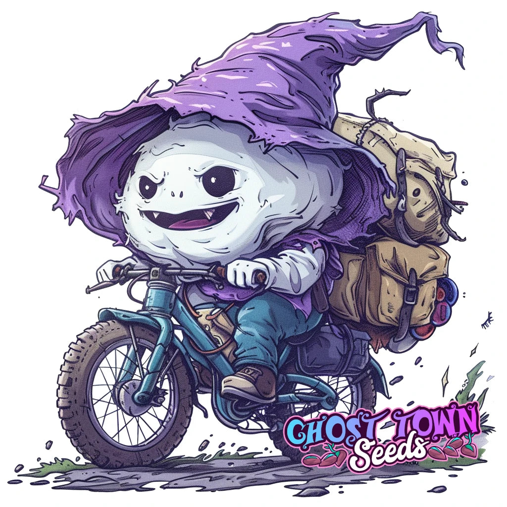 Kuljetus - Ghost Town Seeds