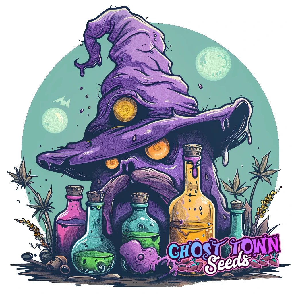 Purkit - Ghost Town Seeds