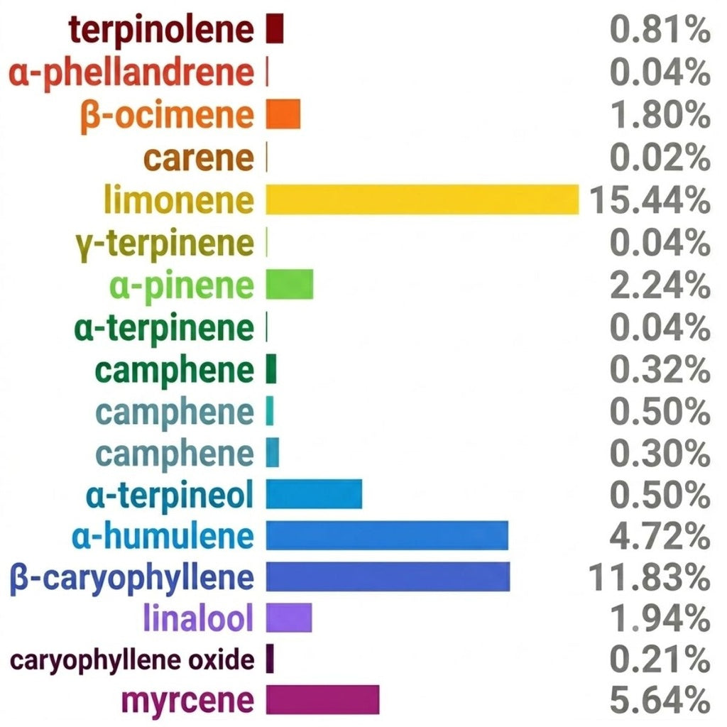 NEU Bag - Terpene Infusion Bag Candy Gas