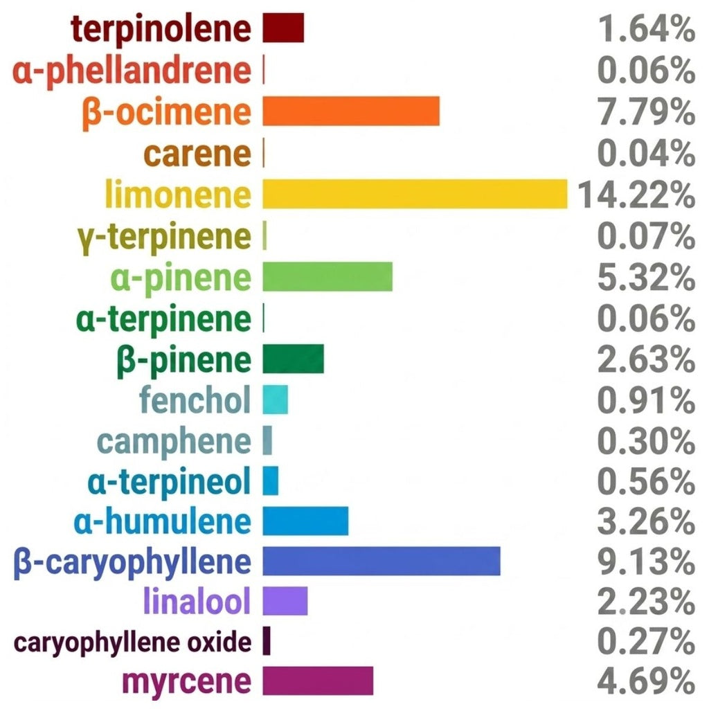 NEU Bag - Terpene Infusion Bag Dessert