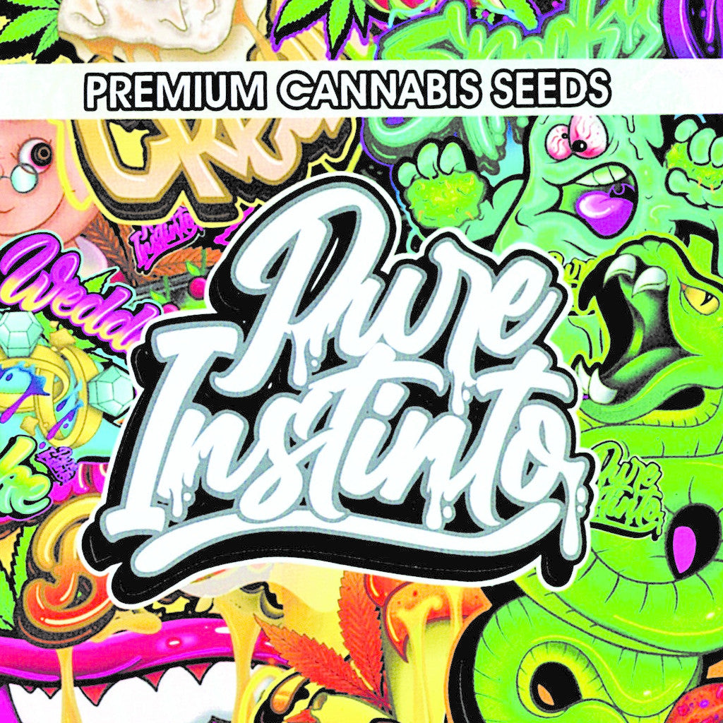 Strawberry Shortcake Auto 3 Autoflower