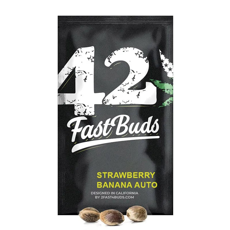 Strawberry Banana Auto Autoflower