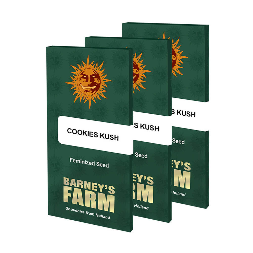 Cookies Kush Kannabiksen Siemenet - Barneys Farm