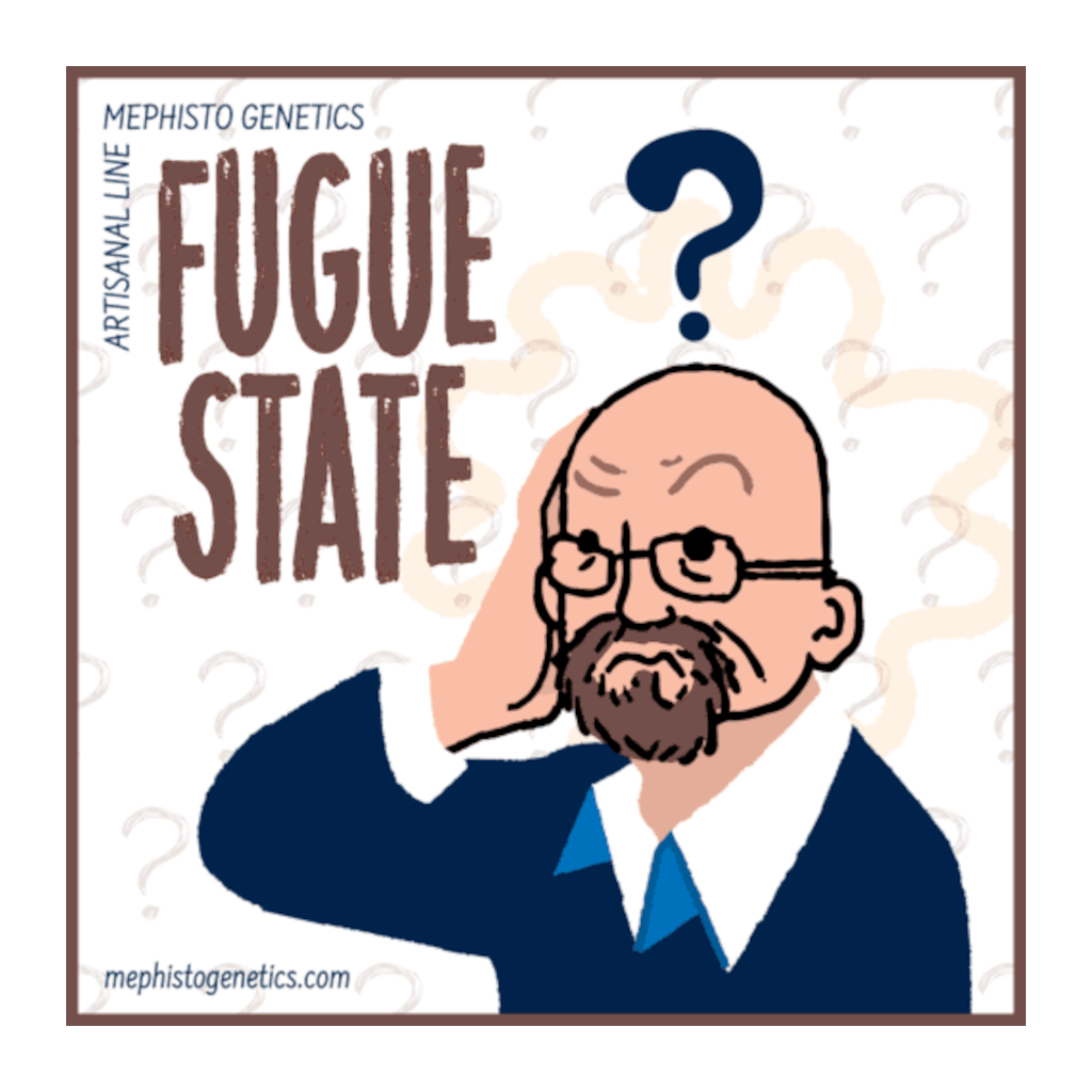 Fugue State