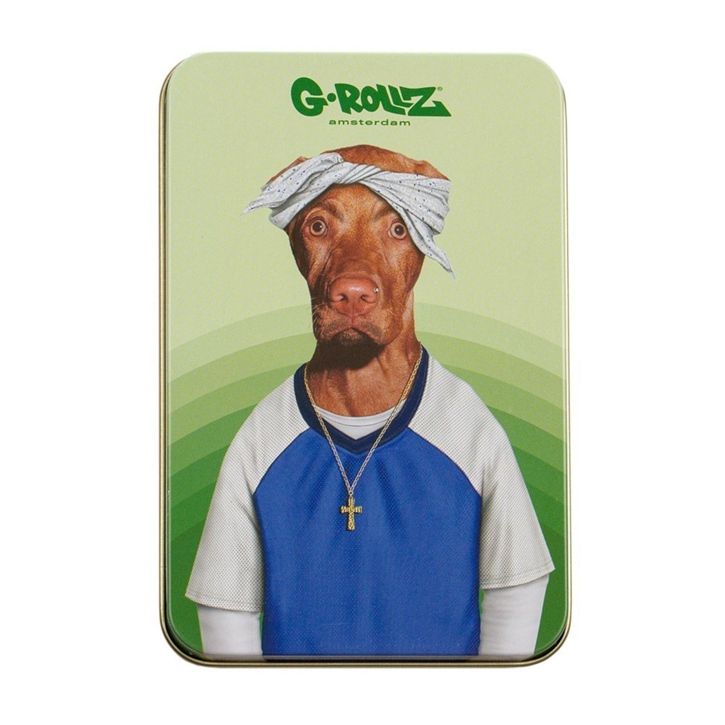 G-Rollz - Pets Rock Street Dog Medium Säilytysrasia