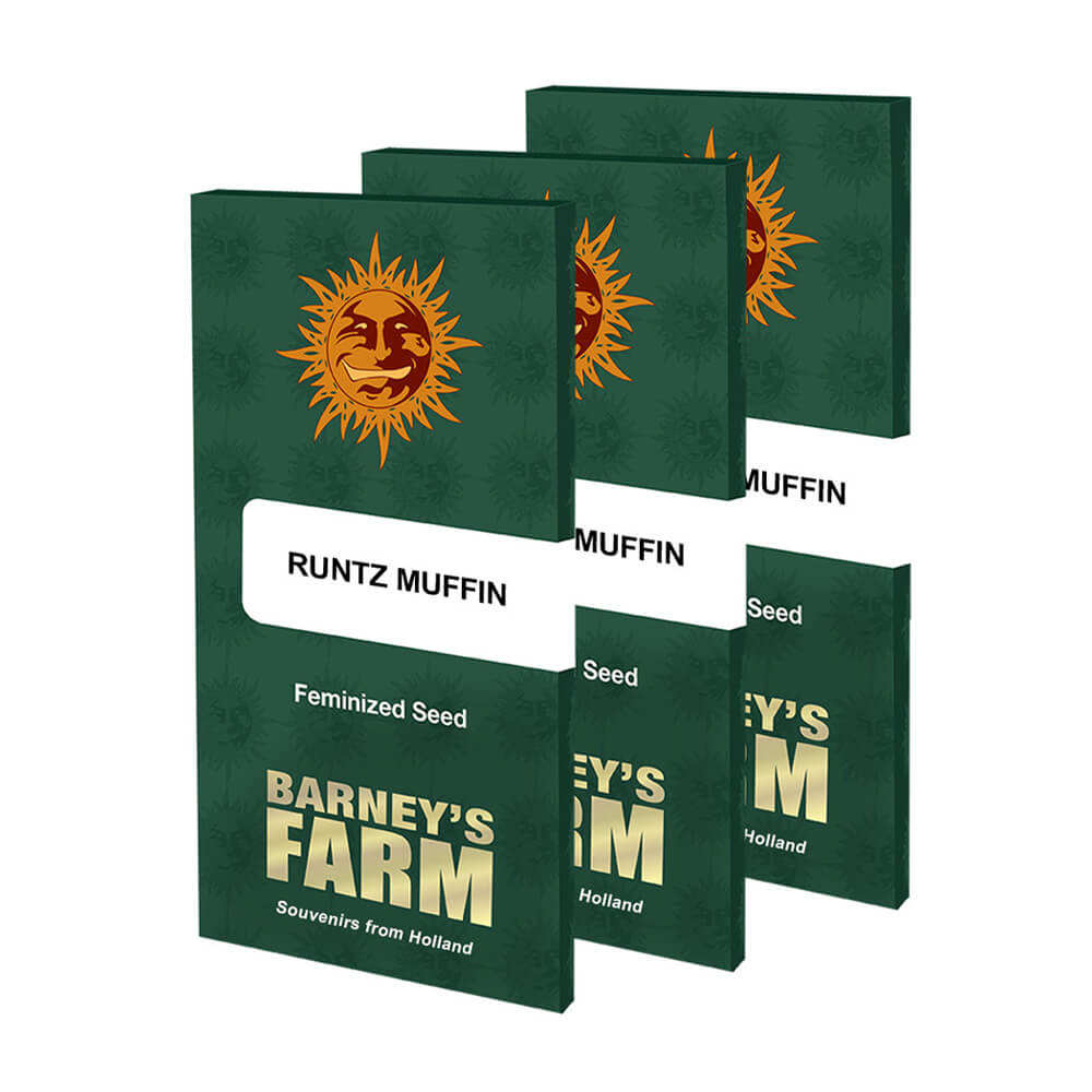 Runtz Muffin Kannabiksen Siemenet - Barneys Farm