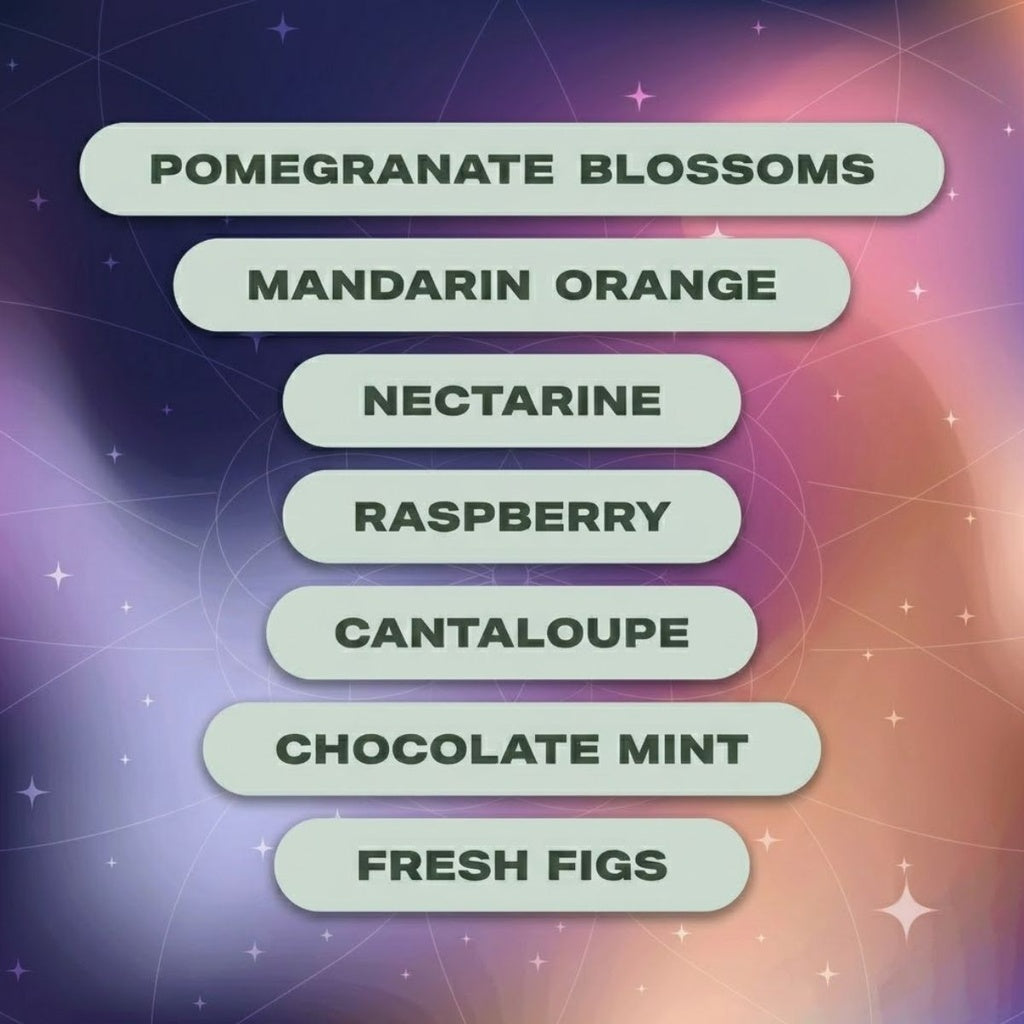 NEU Bag - Terpene Infusion Bag Candy Gas