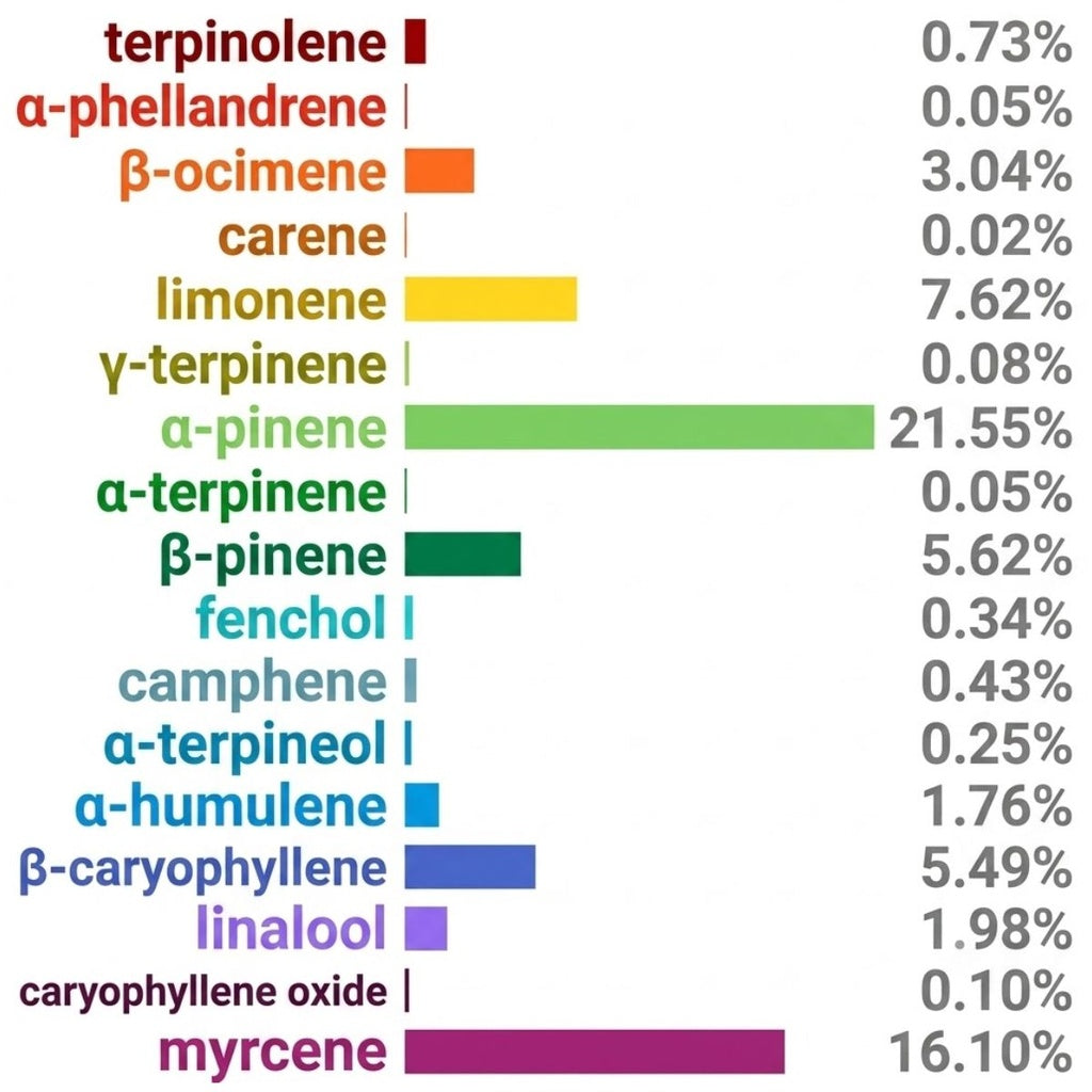 NEU Bag - Terpene Infusion Bag Purple
