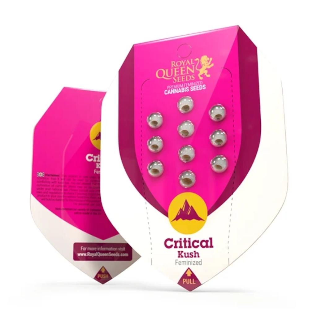 Critical Kush Kannabiksen Siemenet - Royal Queen Seeds