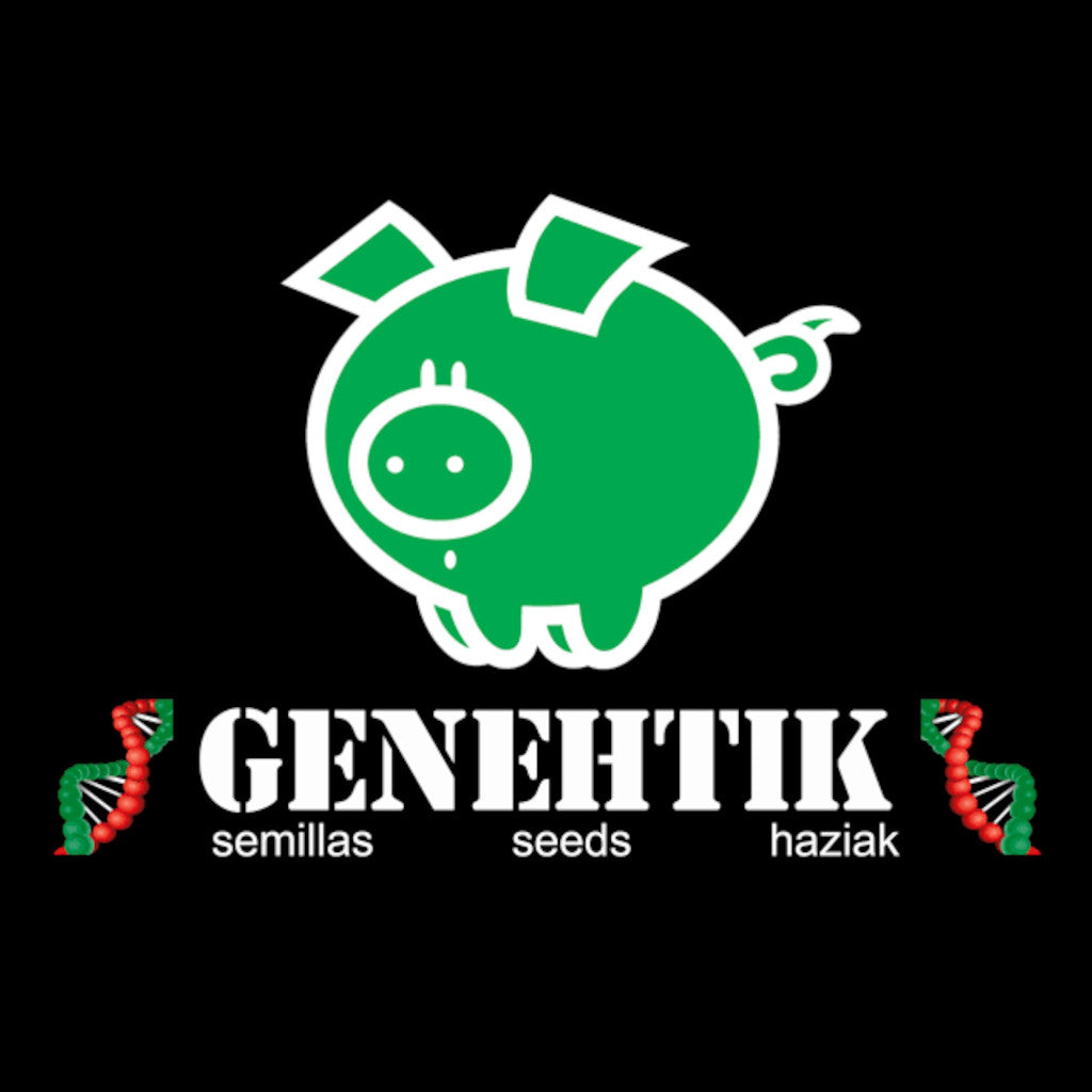 Gorila Bilbo