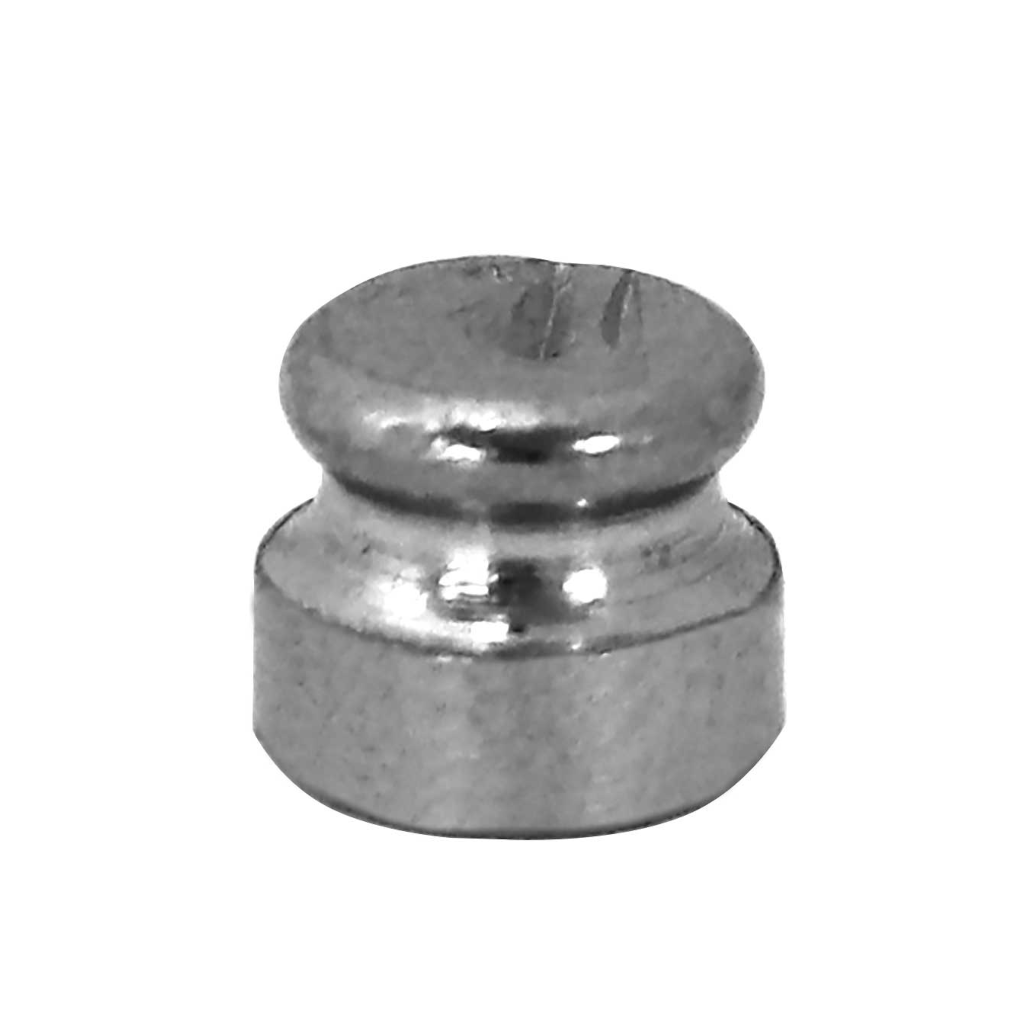 Calibration Weight (1 g)