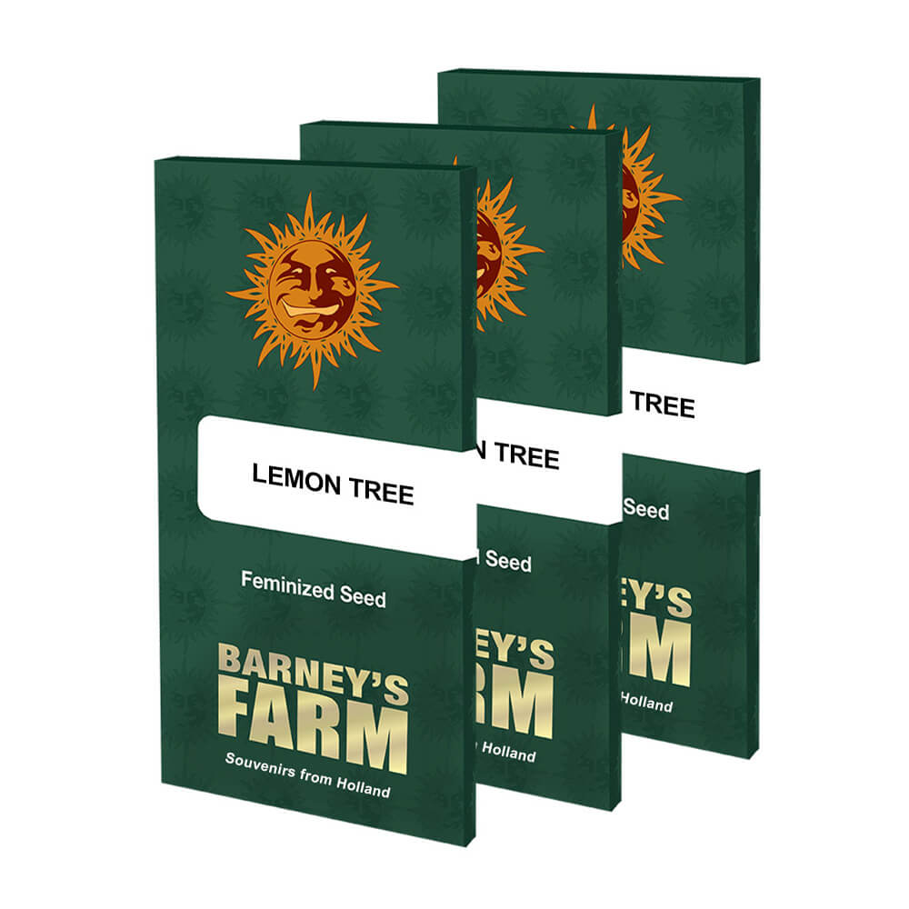 Lemon Tree Kannabiksen Siemenet - Barneys Farm