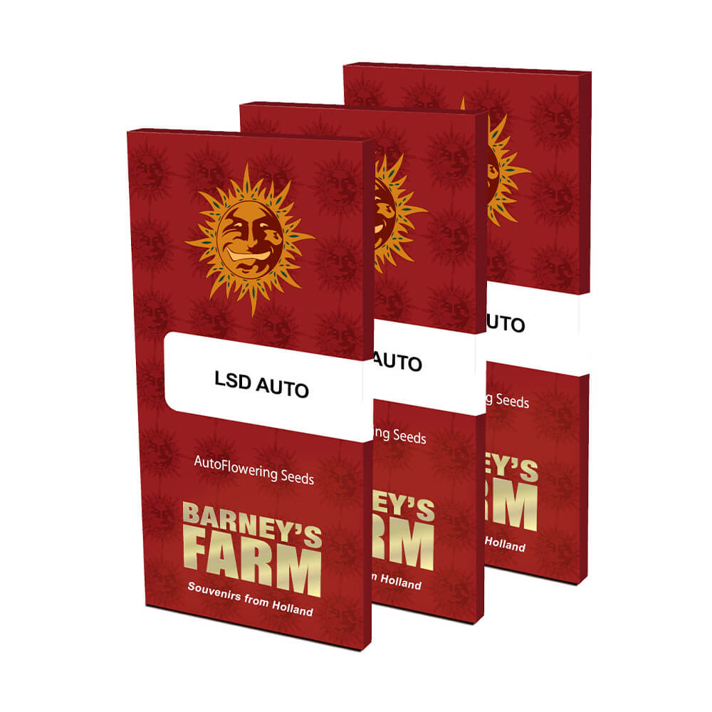 LSD Auto Kannabiksen Siemenet - Barneys Farm
