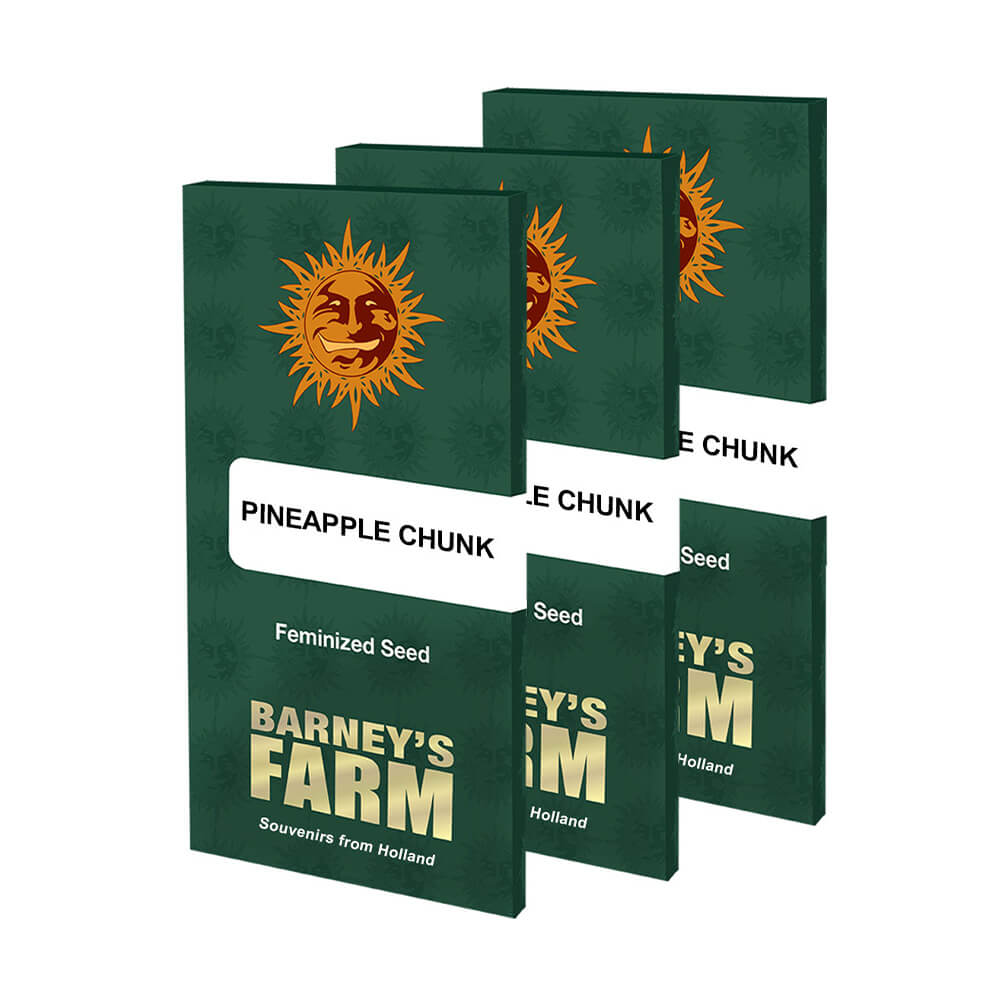Pineapple Chunk Kannabiksen Siemenet - Barneys Farm