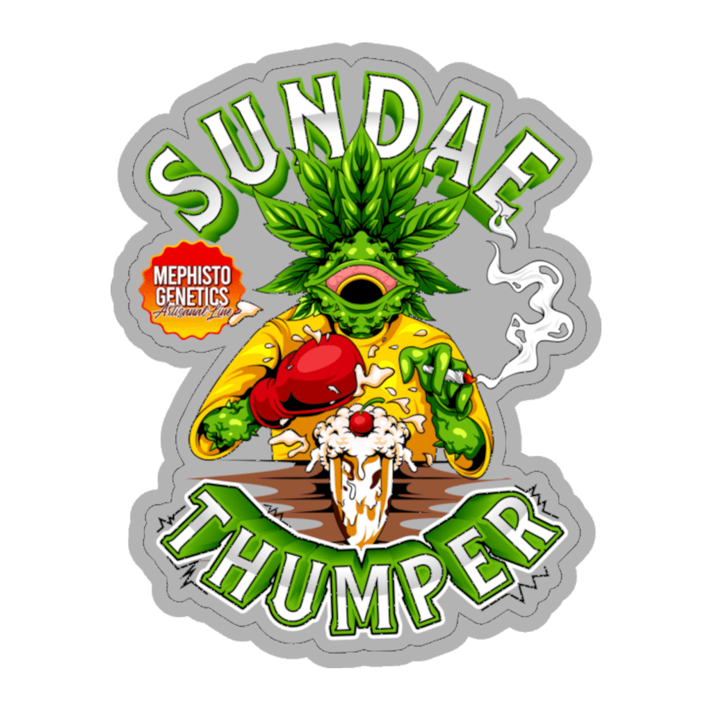 Sundae Thumper