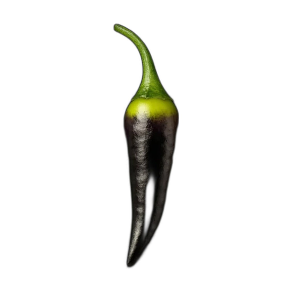 Indian Spirit - Tasmanian Black (10 siementä)